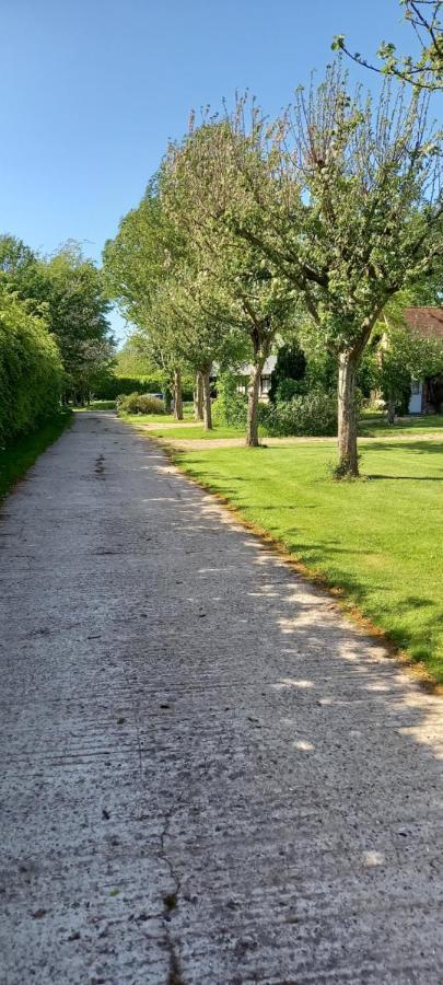 La Ferme Aux Canards Bed & Breakfast Sassetot-le-Mauconduit Dış mekan fotoğraf
